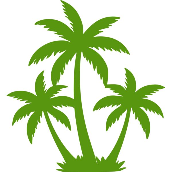 Coconut Tree Thumbnail