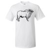 Ultra Cotton® T-Shirt Thumbnail