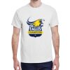 100 HEAVY COTTON SHIRTS WITH 1 COLOR PRINT Thumbnail