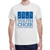 100 HEAVY COTTON SHIRTS WITH 1 COLOR PRINT Thumbnail