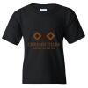 Youth Heavy Cotton™ T-Shirt Thumbnail
