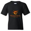 Youth Heavy Cotton™ T-Shirt Thumbnail