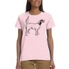 Ladies' Ultra Cotton® T-Shirt Thumbnail