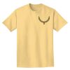 Adult Heavyweight T-Shirt Thumbnail