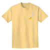 Adult Heavyweight T-Shirt Thumbnail