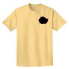 Adult Heavyweight T-Shirt Thumbnail