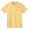 Adult Heavyweight T-Shirt Thumbnail