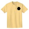 Adult Heavyweight T-Shirt Thumbnail