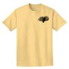 Adult Heavyweight T-Shirt Thumbnail