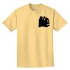 Adult Heavyweight T-Shirt Thumbnail