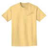 Adult Heavyweight T-Shirt Thumbnail