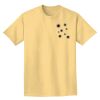 Adult Heavyweight T-Shirt Thumbnail