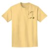Adult Heavyweight T-Shirt Thumbnail