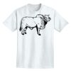 Adult Lightweight T-Shirt Thumbnail