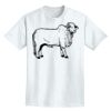 Adult Lightweight T-Shirt Thumbnail
