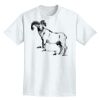 Adult Lightweight T-Shirt Thumbnail