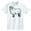 Adult Lightweight T-Shirt Thumbnail