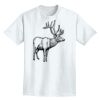 Adult Lightweight T-Shirt Thumbnail