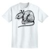 Adult Lightweight T-Shirt Thumbnail