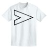 Adult Lightweight T-Shirt Thumbnail
