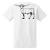 Ladies' Midweight RS T-Shirt Thumbnail