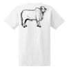Ladies' Midweight RS T-Shirt Thumbnail