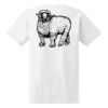 Ladies' Midweight RS T-Shirt Thumbnail