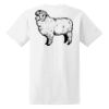 Ladies' Midweight RS T-Shirt Thumbnail