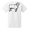 Ladies' Midweight RS T-Shirt Thumbnail